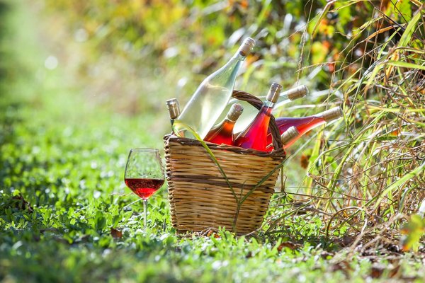 À la Découverte des Racines Culinaires du Périgord : Histoire, Saveurs et Patrimoine