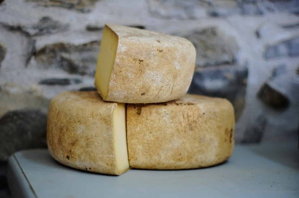 Découvrez les Richesses Fromagères du Périgord : Un Voyage Culinaire Dans le Coeur de la France