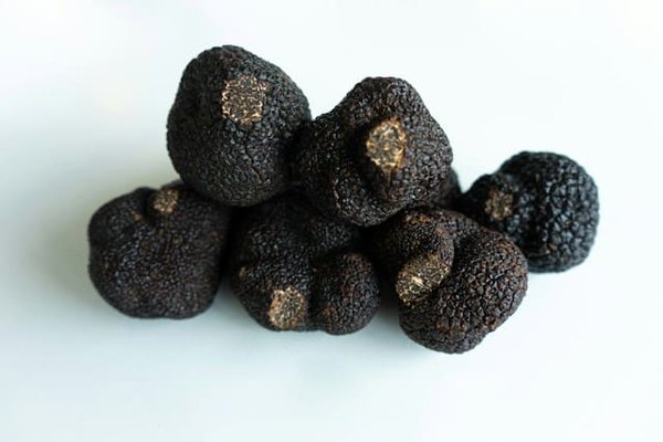 La Truffe du Périgord : Histoire, Culture et Légendes de l'Or Noir de la Gastronomie Française
